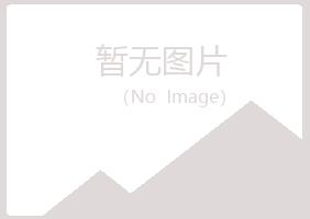 平山区冰夏会计有限公司